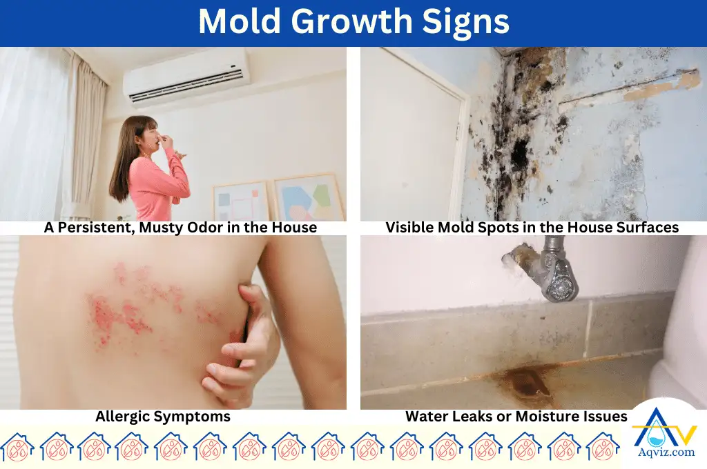 Mold Growth Signs