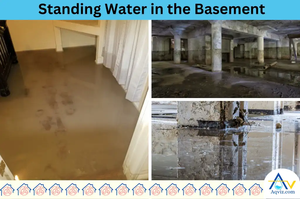 Standing water basement