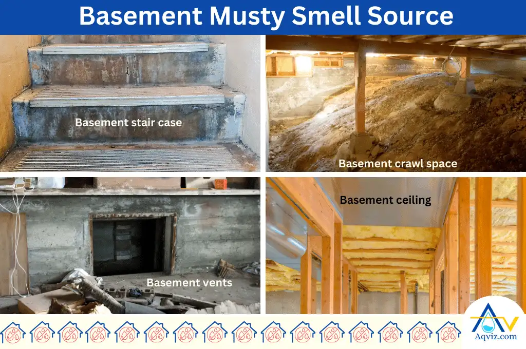 Basement musty smell sources