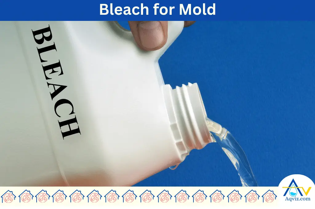 Mold cleaning Bleach