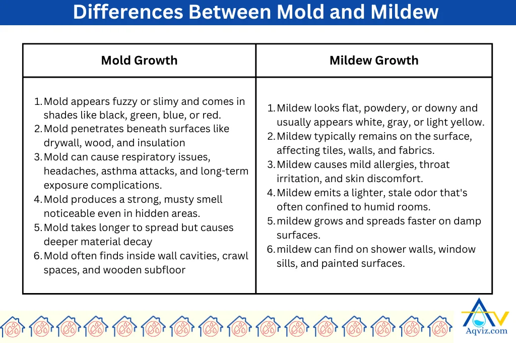 Mold-vs-Mildew