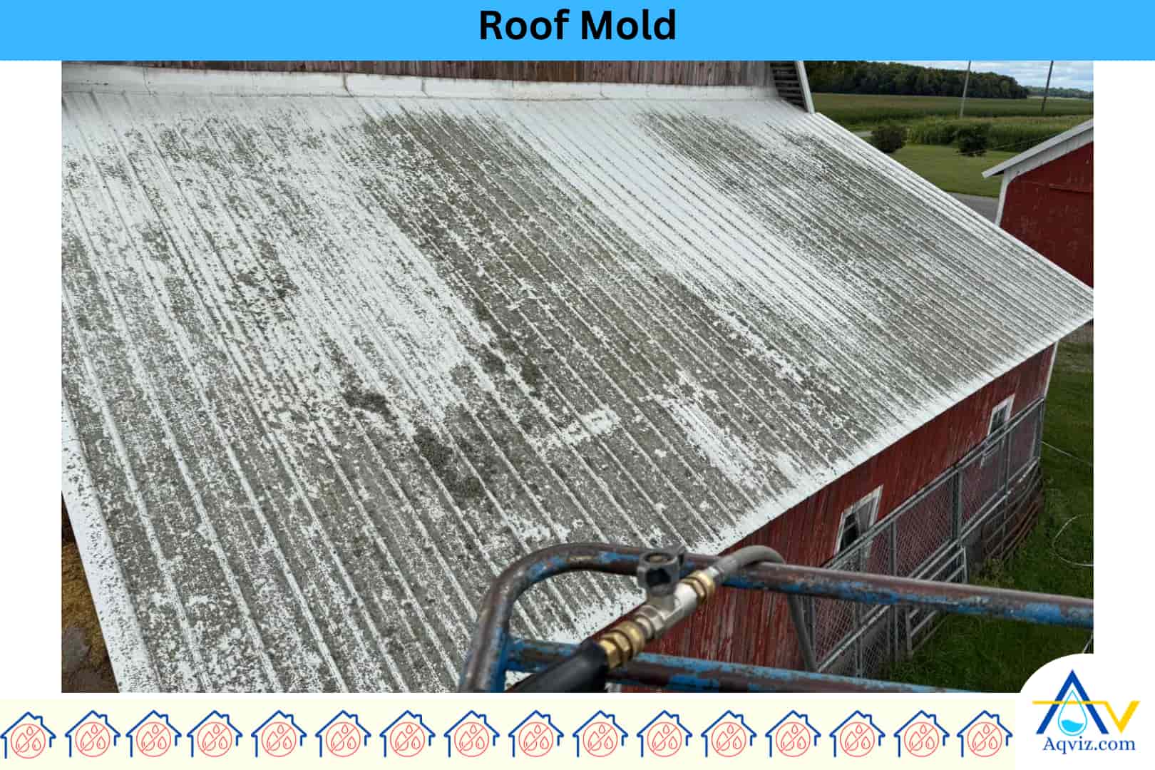 Roof-mold